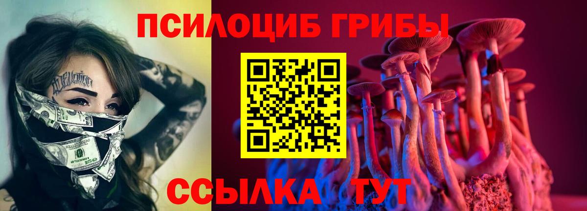 Псилоцибиновые грибы прущие грибы  Галлюциногенные грибы мицелий  Вход с VPN  Ачхой-Мартан 