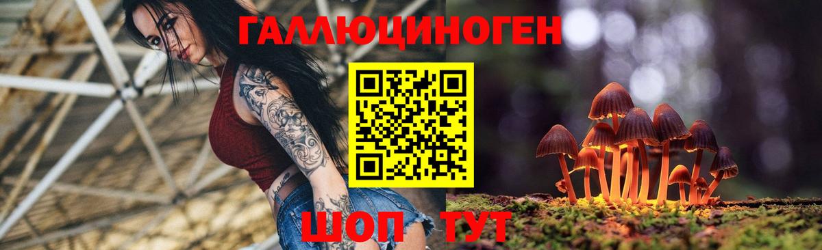 Галлюциногенные грибы мицелий Ачхой-Мартан