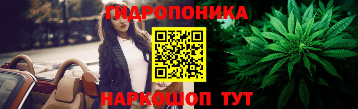 Конопля конопля Ачхой-Мартан